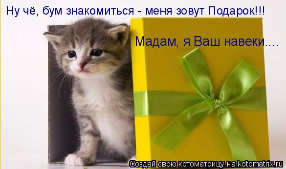 Ну чё, бум знакомиться - меня зовут Подарок!!! Мадам, я Ваш навеки....... Котоматрица: Ну чё, бум знакомиться - меня зовут Подарок!!! Мадам, я Ваш навеки....
