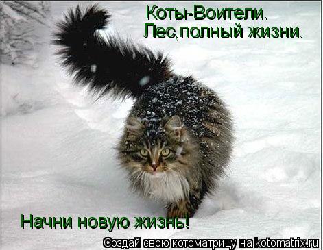 Коты-Воители. Лес,полный жизни. Начни новую жизнь!... Котоматрица: Коты-Воители. Лес,полный жизни. Начни новую жизнь!