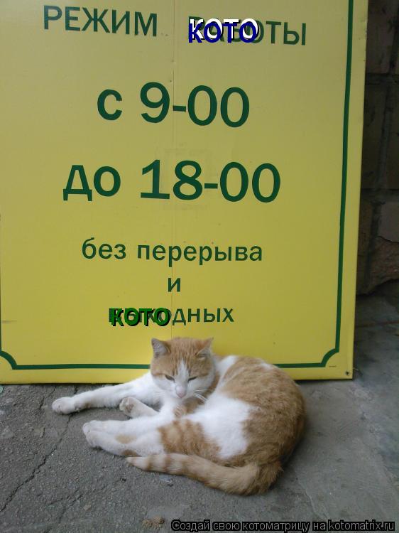 кото кото кото... Котоматрица: кото кото кото