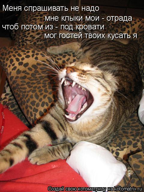 Меня спрашивать не надо мне клыки мои - отрада чтоб потом из - под кровати мог гостей твоих кусать я... Котоматрица: Меня спрашивать не надо мне клыки мои - отрада чтоб потом из - под кровати мог гостей твоих кусать я