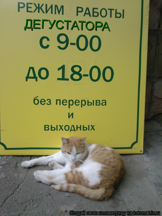 ДЕГУСТАТОРА... Котоматрица: ДЕГУСТАТОРА