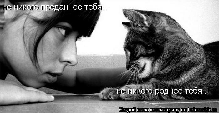 Котоматрица: не никого преданнее тебя... не никого роднее тебя..!