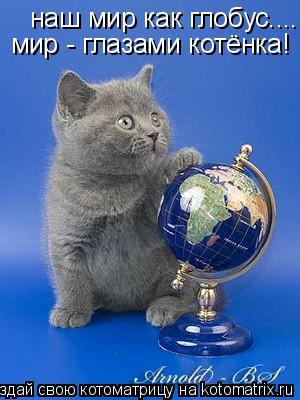 Котоматрица: наш мир как глобус.... мир - глазами котёнка!