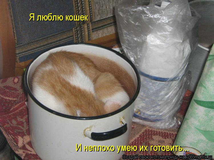 Котоматрица: Я люблю кошек И неплохо умею их готовить...
