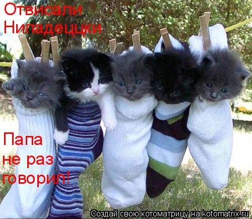 Котоматрица: Отвисали Нипадеццки Папа не раз говорил!