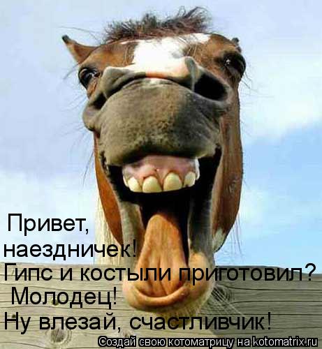 Гипс и костыли приготовил? наездничек! Привет, Ну влезай, счастливчик! Молодец!... Котоматрица: Гипс и костыли приготовил? наездничек! Привет, Ну влезай, счастливчик! Молодец!