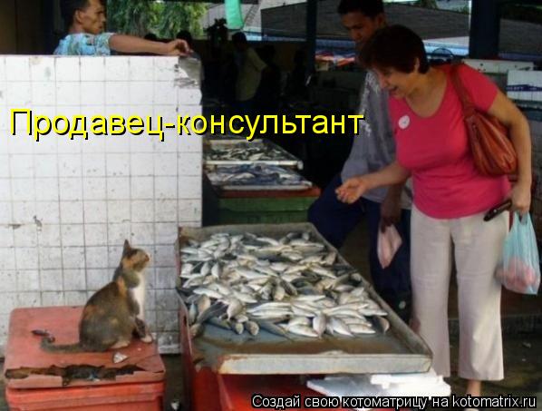 Котоматрица: Продавец-консультант