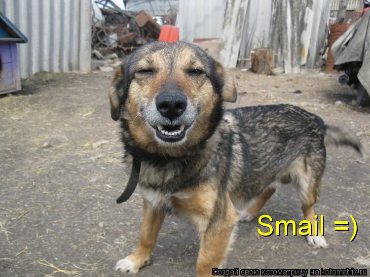 Котоматрица: Smail =)