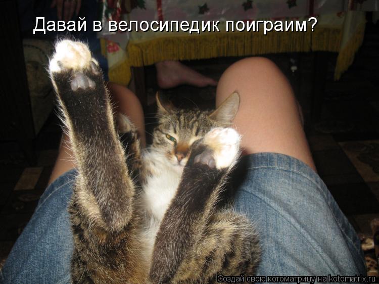Котоматрица: Давай в велосипедик поиграим?