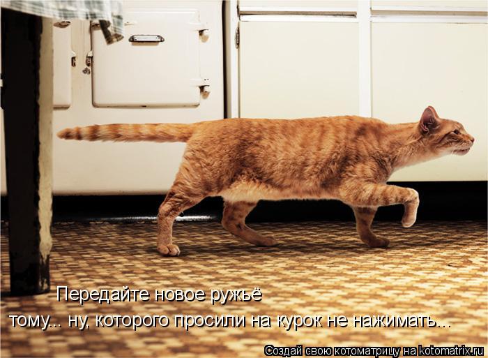 Котоматрица: Передайте новое ружьё тому... ну, которого просили на курок не нажимать...