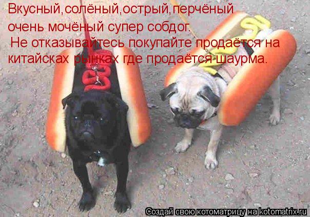очень мочёный супер собдог. Не отказывайтесь покупайте продаётся на Вкусный,солёный,острый,перчёный... Котоматрица: очень мочёный супер собдог. Не отказывайтесь покупайте продаётся на Вкусный,солёный,острый,перчёный китайсках рынках где продаётся шаур
