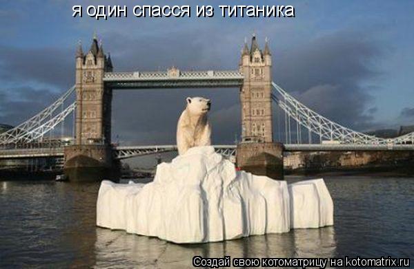Котоматрица: я один спасся из титаника