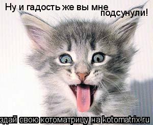 Котоматрица: Ну и гадость же вы мне  подсунули!