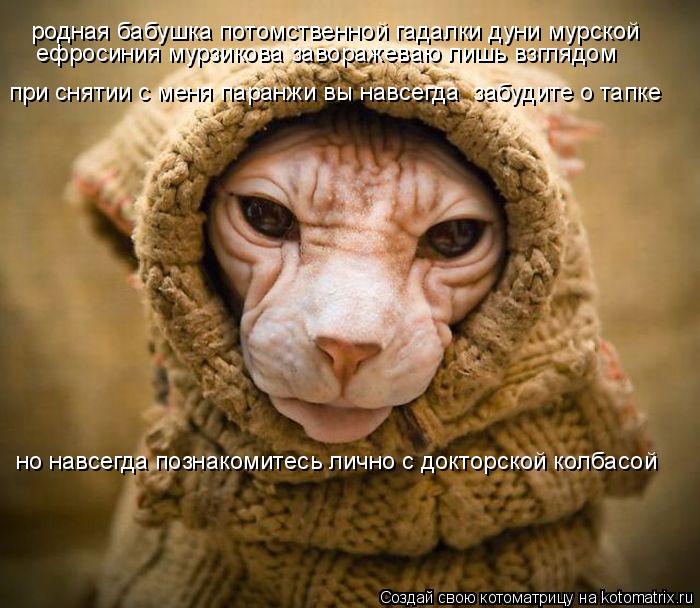 Котоматрица: родная бабушка потомственной гадалки дуни мурской ефросиния мурзикова заворажеваю лишь взглядом при снятии с меня паранжи вы навсегда  за