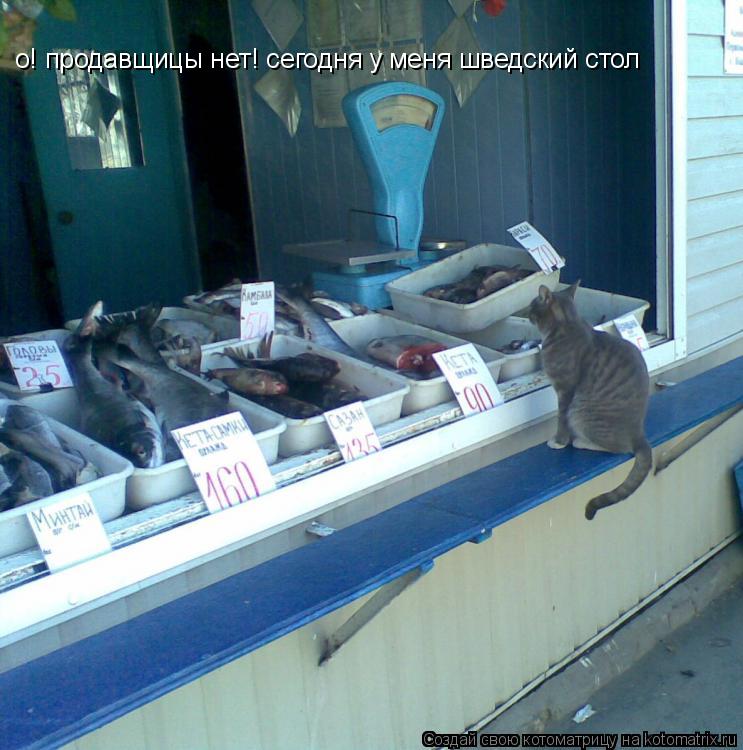 о! продавщицы нет! о! продавщицы нет! сегодня у меня шведский стол... Котоматрица: о! продавщицы нет! о! продавщицы нет! сегодня у меня шведский стол