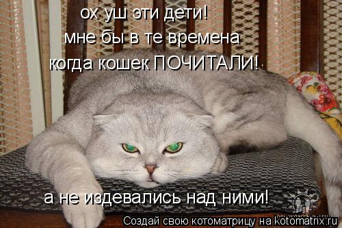 ох уш эти дети! мне бы в те времена когда кошек ПОЧИТАЛИ! а не издевались над ними!... Котоматрица: ох уш эти дети! мне бы в те времена когда кошек ПОЧИТАЛИ! а не издевались над ними!