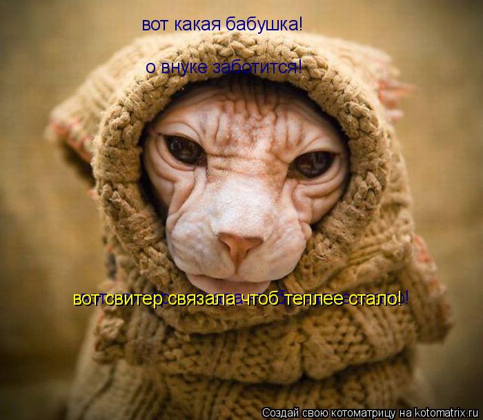 вот какая бабушка! о внуке заботится! вот свитер связала чтоб теплее стало! вот свитер связала чтоб т... Котоматрица: вот какая бабушка! о внуке заботится! вот свитер связала чтоб теплее стало! вот свитер связала чтоб теплее стало!