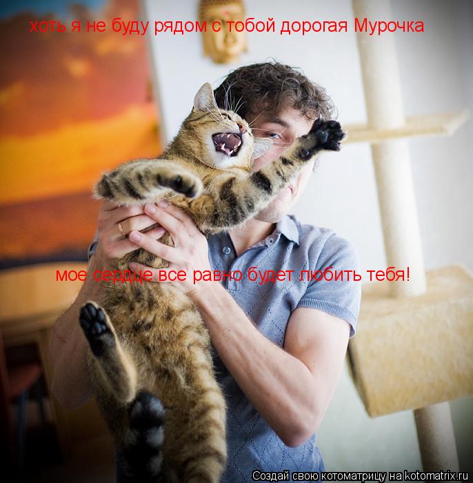 хоть я не буду рядом с тобой дорогая Мурочка мое сердце все равно будет любить тебя!... Котоматрица: хоть я не буду рядом с тобой дорогая Мурочка мое сердце все равно будет любить тебя!