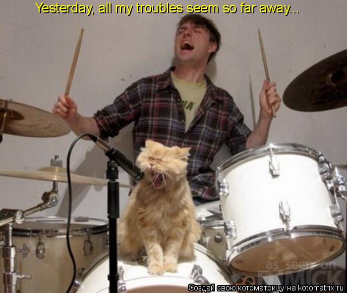 Yesterday, all my troubles seem so far away...... Котоматрица: Yesterday, all my troubles seem so far away...