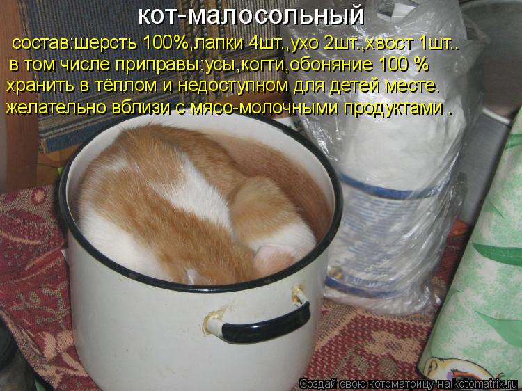кот-малосольный состав:шерсть 100%,лапки 4шт.,ухо 2шт.,хвост 1шт.. в том числе приправы:усы,когти,обо... Котоматрица: кот-малосольный состав:шерсть 100%,лапки 4шт.,ухо 2шт.,хвост 1шт.. в том числе приправы:усы,когти,обоняние 100 % хранить в тёплом и недоступном для