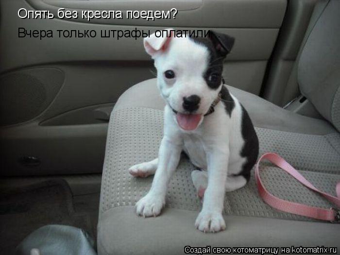 Опять без кресла поедем? Вчера только штрафы оплатили...... Котоматрица: Опять без кресла поедем? Вчера только штрафы оплатили...