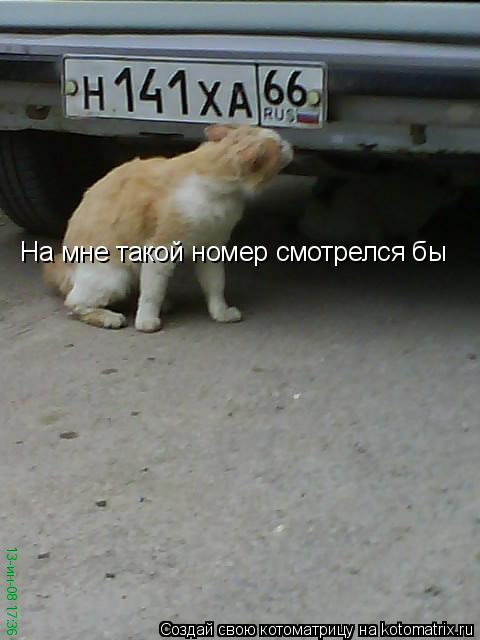На мне такой номер смотрелся бы... Котоматрица: На мне такой номер смотрелся бы