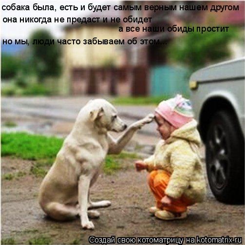 она никогда не предаст и не обидет а все наши обиды простит но мы, люди часто забываем об этом... соб... Котоматрица: она никогда не предаст и не обидет а все наши обиды простит но мы, люди часто забываем об этом... собака была, есть и будет самым верным нашем