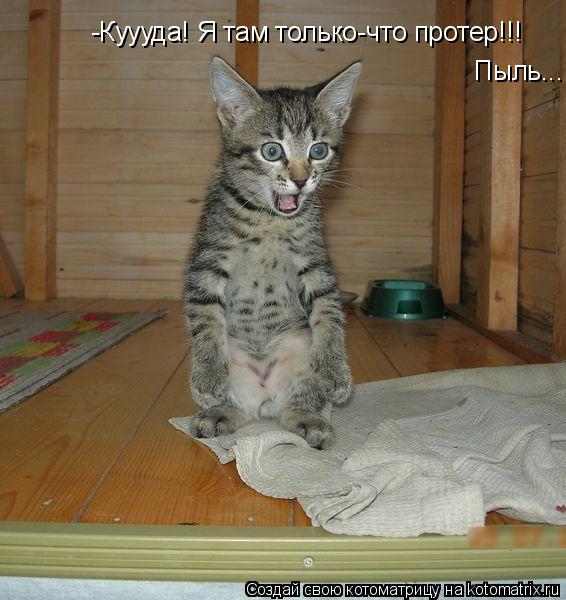 -Куууда! Я там только-что протер!!! Пыль...... Котоматрица: -Куууда! Я там только-что протер!!! Пыль...
