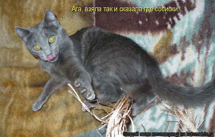 Ага, взяла так и сказала где сосиски...... Котоматрица: Ага, взяла так и сказала где сосиски...
