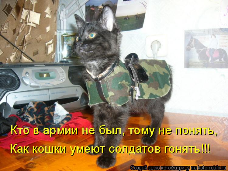 Кто в армии не был, тому не понять, Как кошки умеют солдатов гонять!!!... Котоматрица: Кто в армии не был, тому не понять, Как кошки умеют солдатов гонять!!!