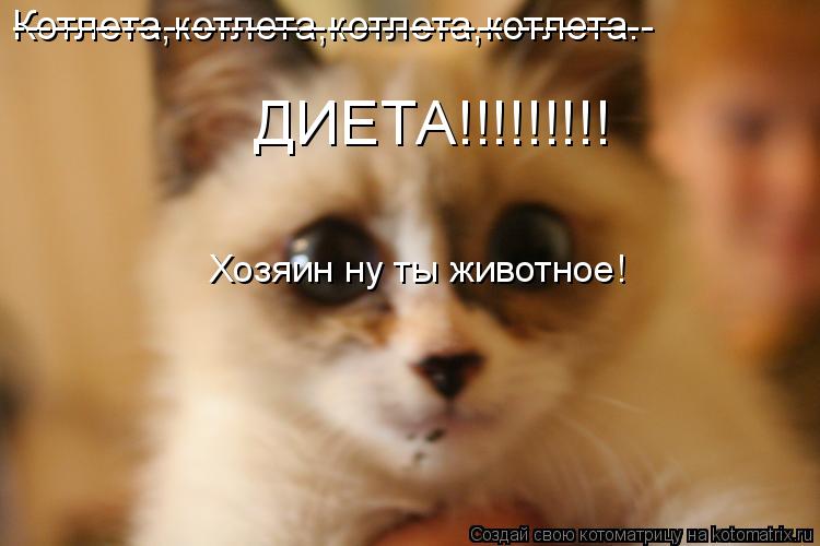 Котлета,котлета,котлета,котлета. ------ ----------------------------------------- ДИЕТА!!!!!!!!! Хозя... Котоматрица: Котлета,котлета,котлета,котлета. ------ ----------------------------------------- ДИЕТА!!!!!!!!! Хозяин ну ты животное!