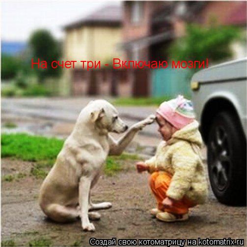 На счет три - Включаю мозги!... Котоматрица: На счет три - Включаю мозги!