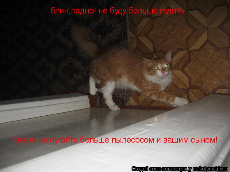 только не пугайте больше пылесосом и вашим сыном! блин,ладно! не буду больше гадить,... Котоматрица: только не пугайте больше пылесосом и вашим сыном! блин,ладно! не буду больше гадить,