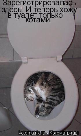 Зарегистрировалась здесь. И теперь хожу в туалет только котами... Котоматрица: Зарегистрировалась здесь. И теперь хожу в туалет только котами