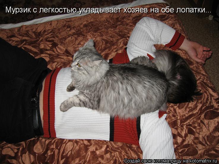 Мурзик с легкостью укладывает хозяев на обе лопатки...... Котоматрица: Мурзик с легкостью укладывает хозяев на обе лопатки...