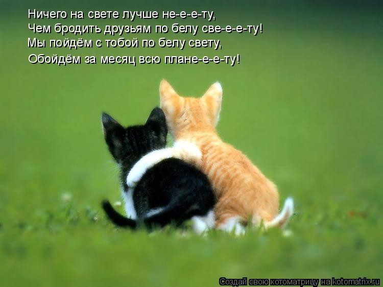 Ничего на свете лучше не-е-е-ту, Чем бродить друзьям по белу све-е-е-ту! Мы пойдём с тобой по белу св... Котоматрица: Ничего на свете лучше не-е-е-ту, Чем бродить друзьям по белу све-е-е-ту! Мы пойдём с тобой по белу свету, Обойдём за месяц всю плане-е-е-ту!