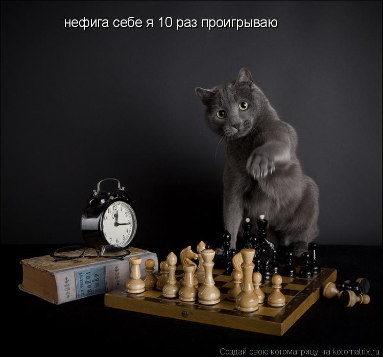 нефига себе я 10 раз проигрываю нефига себе я 10 раз проигрываю... Котоматрица: нефига себе я 10 раз проигрываю нефига себе я 10 раз проигрываю