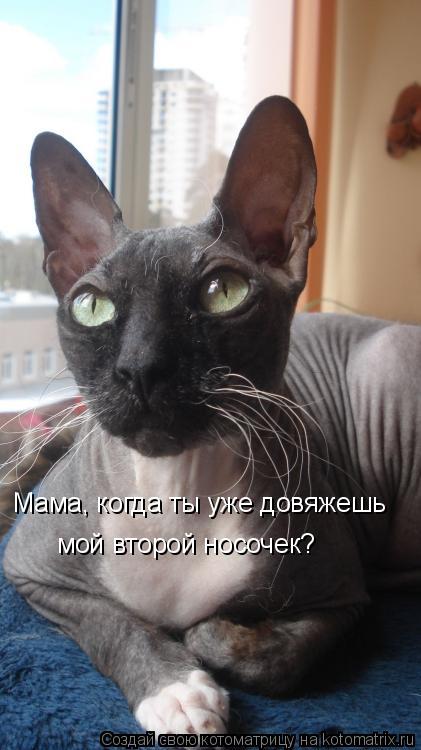 Мама, когда ты уже довяжешь мой второй носочек?... Котоматрица: Мама, когда ты уже довяжешь мой второй носочек?