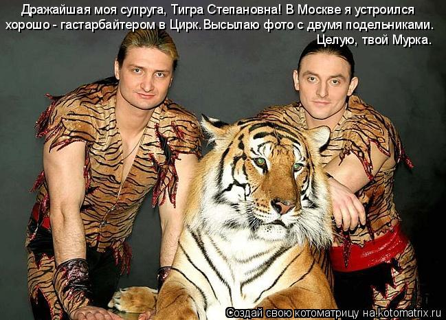 Дражайшая моя супруга, Тигра Степановна! В Москве я устроился хорошо - гастарбайтером в Цирк. Высыла... Котоматрица: Дражайшая моя супруга, Тигра Степановна! В Москве я устроился хорошо - гастарбайтером в Цирк. Высылаю фото с двумя подельниками. Целую, твой