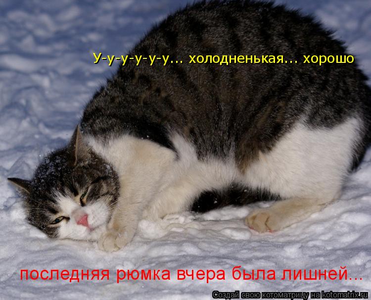 У-у-у-у-у-у... холодненькая... хорошо последняя рюмка вчера была лишней... последняя рюмка вчера бы... Котоматрица: У-у-у-у-у-у... холодненькая... хорошо последняя рюмка вчера была лишней... последняя рюмка вчера была лишней... последняя рюмка вчера была лишн