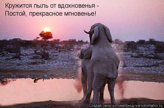 Кружится пыль от вдохновенья - Постой, прекрасное мгновенье!... Котоматрица: Кружится пыль от вдохновенья - Постой, прекрасное мгновенье!