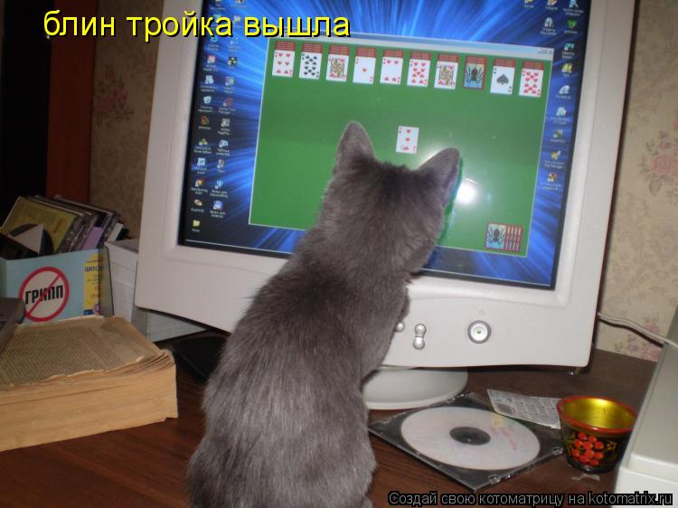 блин тройка вышла... Котоматрица: блин тройка вышла