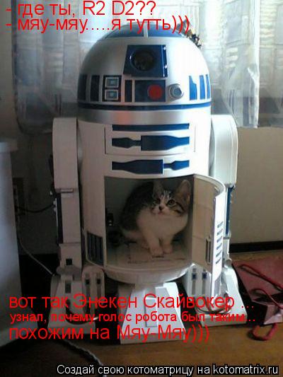 - где ты, R2 D2?? - мяу-мяу.....я тутть))) вот так Энекен Скайвокер ... узнал, почему голос робота б... Котоматрица: - где ты, R2 D2?? - мяу-мяу.....я тутть))) вот так Энекен Скайвокер ... узнал, почему голос робота был таким... похожим на Мяу-Мяу)))