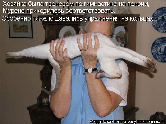Хозяйка была тренером по гимнастике на пенсии, Мурене приходилось соответствовать... Особенно тяжело ... Котоматрица: Хозяйка была тренером по гимнастике на пенсии, Мурене приходилось соответствовать... Особенно тяжело давались упражнения на кольцах