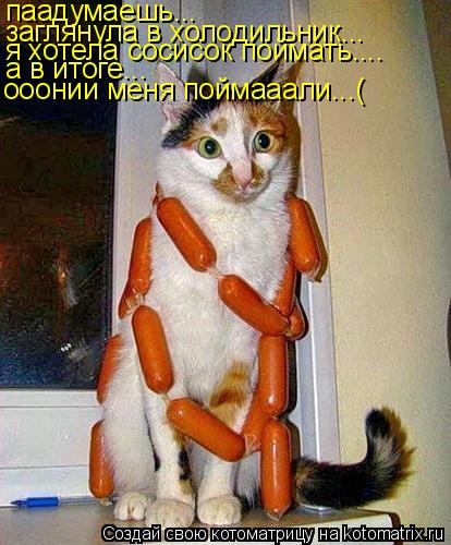 паадумаешь... заглянула в холодильник... я хотела сосисок поймать.... а в итоге... ооонии меня поймаа... Котоматрица: паадумаешь... заглянула в холодильник... я хотела сосисок поймать.... а в итоге... ооонии меня поймааали...(