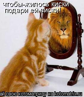 чтобы-жилось киски подари ей виски!... Котоматрица: чтобы-жилось киски подари ей виски!