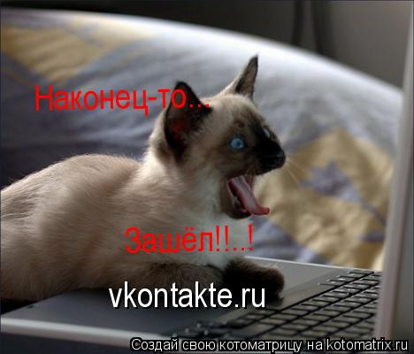 vkontakte.ru Зашёл!!..! Наконец-то...... Котоматрица: vkontakte.ru Зашёл!!..! Наконец-то...
