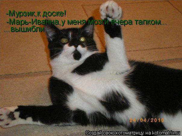 -Мурзик,к доске! -Марь-Иванна,у меня мозги вчера тапком... ...вышибли... Котоматрица: -Мурзик,к доске! -Марь-Иванна,у меня мозги вчера тапком... ...вышибли