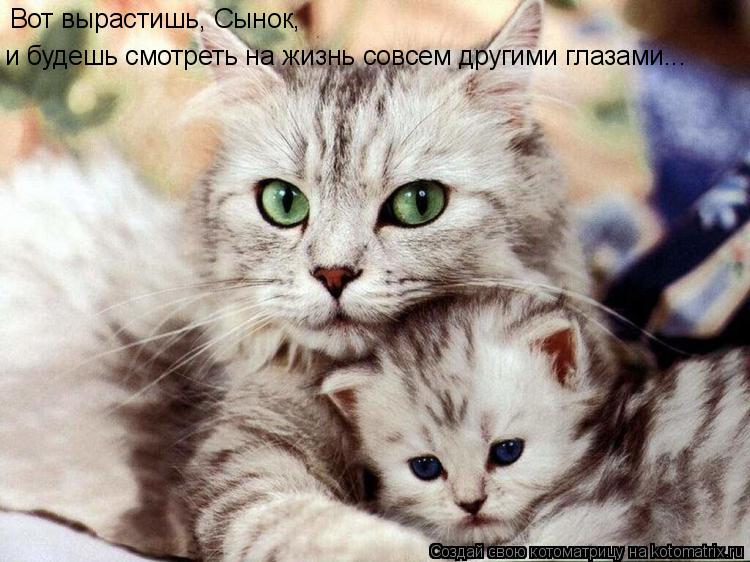 Вот вырастишь, Сынок, и будешь смотреть на жизнь совсем другими глазами...... Котоматрица: Вот вырастишь, Сынок, и будешь смотреть на жизнь совсем другими глазами...
