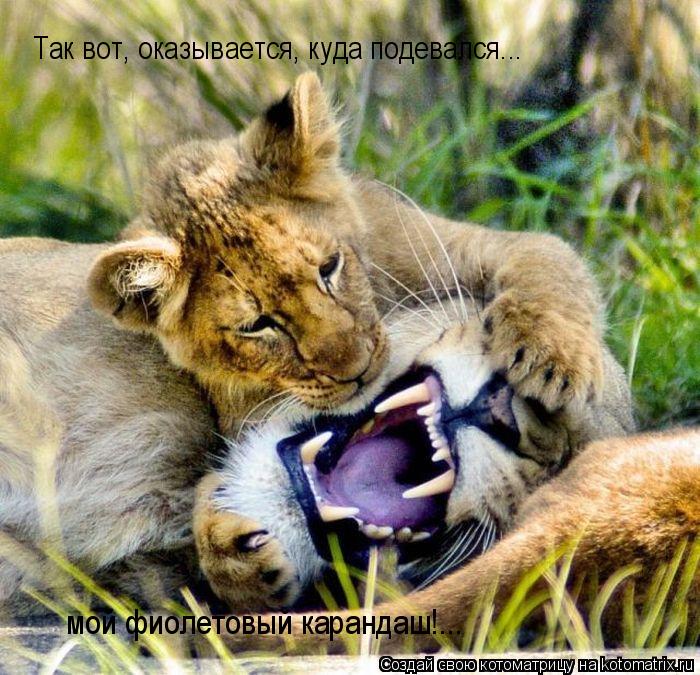 Так вот, оказывается, куда подевался... мой фиолетовый карандаш!...... Котоматрица: Так вот, оказывается, куда подевался... мой фиолетовый карандаш!...